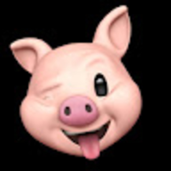 piggy4948
